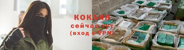 кокаин Каменка