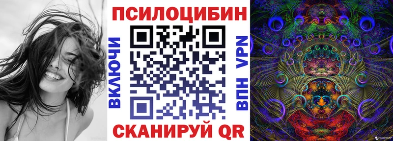 Галлюциногенные грибы Psilocybe  Купить  Северск 